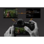 Canon EOS R6 Mark II Mirrorless Camera With Adapter - Image 11