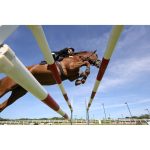 Canon EOS R6 Mark II Mirrorless Camera With Adapter - Image 10