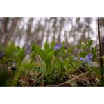 Sigma 16-28mm F/2.8 DG DN Contemporary Lens For Sony E - Image 12