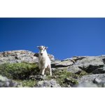 Sigma 24mm F/1.4 DG DN Art Lens For Sony E - Image 13