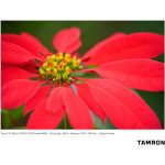 Tamron 70-180mm F/2.8 Di III VXD Lens For Sony E - Image 14