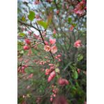 Sigma 16-28mm F/2.8 DG DN Contemporary Lens For Sony E - Image 18