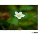 Tamron 35mm F/2.8 Di III OSD M 1:2 Lens For Sony E - Image 18