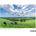 Tamron 20mm F/2.8 Di III OSD M 1:2 Lens For Sony E - Image 19