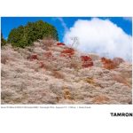 Tamron 70-180mm F/2.8 Di III VXD Lens For Sony E - Image 20