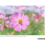Tamron 20mm F/2.8 Di III OSD M 1:2 Lens For Sony E - Image 21