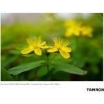 Tamron 24mm F/2.8 Di III OSD M 1:2 Lens For Sony E - Image 20