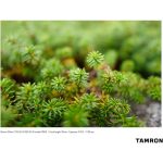 Tamron 20mm F/2.8 Di III OSD M 1:2 Lens For Sony E - Image 23