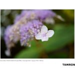Tamron 35mm F/2.8 Di III OSD M 1:2 Lens For Sony E - Image 22