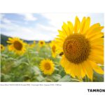 Tamron 20mm F/2.8 Di III OSD M 1:2 Lens For Sony E - Image 25