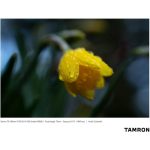 Tamron 70-180mm F/2.8 Di III VXD Lens For Sony E - Image 23