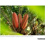 Tamron 28-75mm F/2.8 Di III VXD G2 Lens For Sony E - Image 18