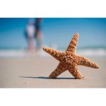 Nikon AF-S NIKKOR 50mm F/1.8G Lens - Image 8