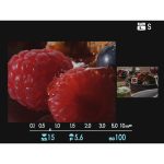 FUJIFILM GFX 50S II Medium Format Mirrorless Camera - Image 24