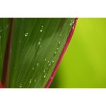 Nikon NIKKOR Z DX 18-140mm F/3.5-6.3 VR Lens - Image 26