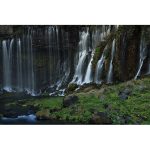 Canon EOS R5 Mirrorless Camera - Image 20