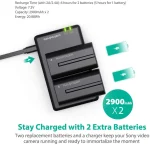 RavPower RP-BC006 NP-F550 Battery Charger For Sony - Image 5