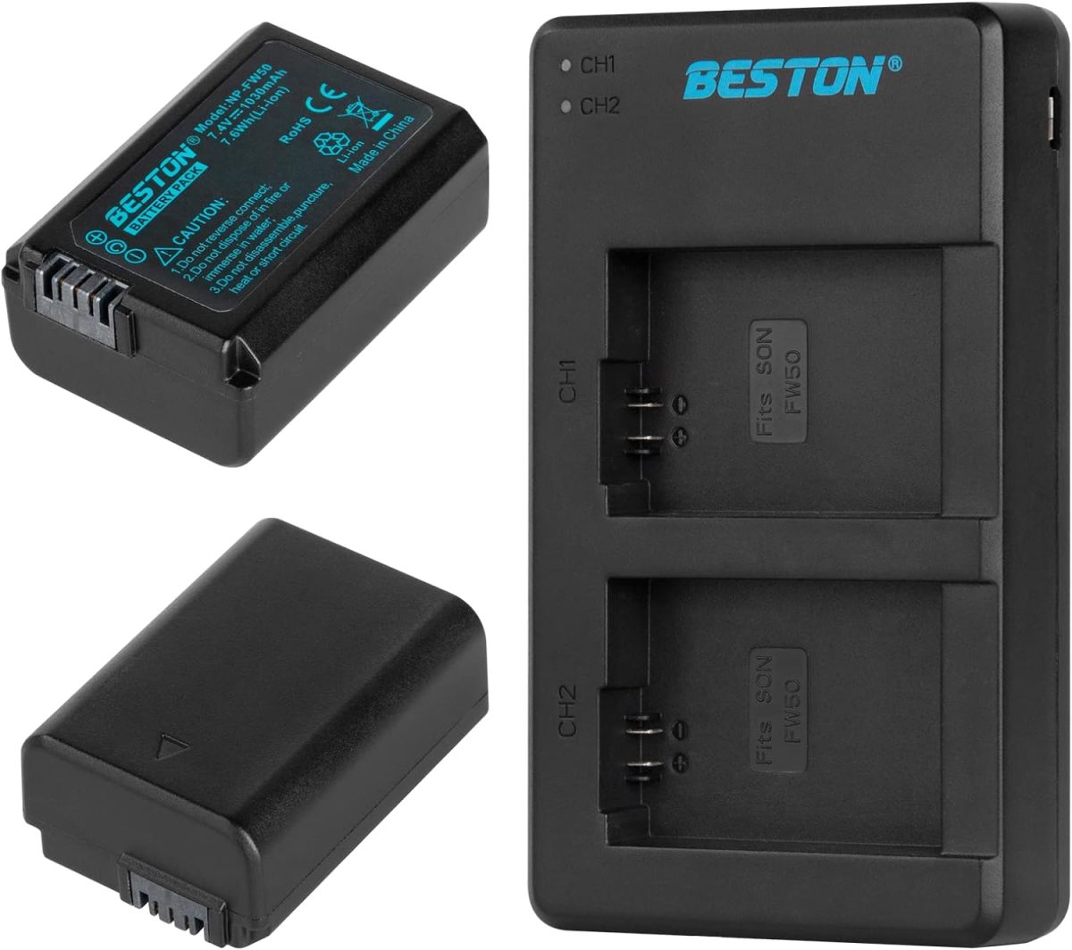 71qkvqJF6UL._AC_SL1500_ Beston Charger FW50 Double - Image 1