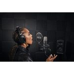 RODE NT1 Signature Series Large-Diaphragm Condenser Microphone (Black) - Image 10