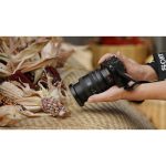 Sony FE 24-50mm f/2.8 G Lens (Sony E) - Image 17