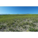 Sony ZV-E10 II Mirrorless Camera + Kit Lens 16-50mm With Sony Grip - Image 32