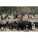 Sony ZV-E10 II Mirrorless Camera + Kit Lens 16-50mm With Sony Grip - Image 33