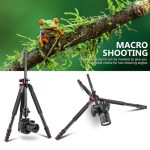 Neewer N284L+G0 Tripod For Digital Camera - Image 6