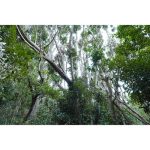 Sony E 15mm f/1.4 G Lens - Image 19