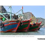 Tamron 28-75mm F/2.8 Di III VXD G2 Lens For Nikon Z - Image 14