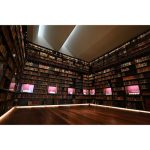 Nikon NIKKOR Z 17-28mm F/2.8 Lens - Image 9