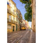 Nikon NIKKOR Z 17-28mm F/2.8 Lens - Image 4