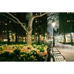 Nikon NIKKOR Z 35mm F/1.4 Lens - Image 17