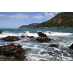 Nikon NIKKOR Z 35mm F/1.4 Lens - Image 10