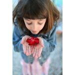 Nikon NIKKOR Z 35mm F/1.4 Lens - Image 6