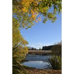 Nikon NIKKOR Z 35mm F/1.4 Lens - Image 2