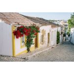 Nikon NIKKOR Z 50mm F/1.4 Lens - Image 19