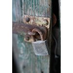 Nikon NIKKOR Z 50mm F/1.4 Lens - Image 9