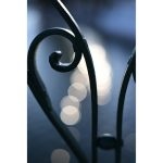 Nikon NIKKOR Z 50mm F/1.4 Lens - Image 4