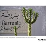 Tamron 28-75mm F/2.8 Di III VXD G2 Lens For Nikon Z - Image 6