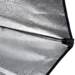 Generic 150W 2-Light Kit Softbox with Remote +Grid (Bi-Color) - Image 3