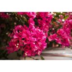 Viltrox AF 13mm F/1.4 XF Lens for Sony E - Image 7