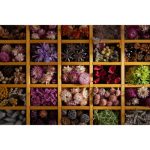 Sony FE 28-70mm f/2 GM Lens (Sony E) - Image 4