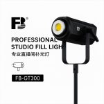FB Professional Studio Head Light GT300