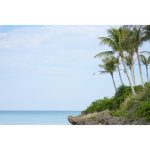 Sony FE 50-150mm f/2 GM Lens (Sony E) - Image 3