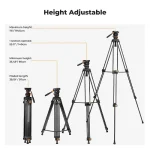 K&F Concept Professional Video Tripod with Fluid Head VA3+BV20 (KF09.148V1) - Image 3