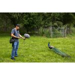 Zoom H1 XLR Portable Audio Recorder for Video - Image 4