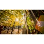 Laowa Venus Optics 10mm f/2.8 Zero-D FF Autofocus Lens (Nikon Z, 5-Blade Aperture) - Image 9