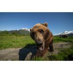 Laowa Venus Optics 12mm f/2.8 Lite Zero-D AF Lens (Sony E, 5-Blade Aperture) - Image 6