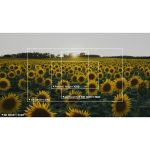 Nikon ZR 6K Cinema Camera - Image 25