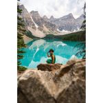 Nikon NIKKOR Z 24-120mm f/4 S Lens (Nikon Z) - Image 6